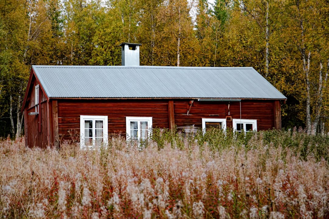 Traditionellt rött svenskt trähus mot höstskog